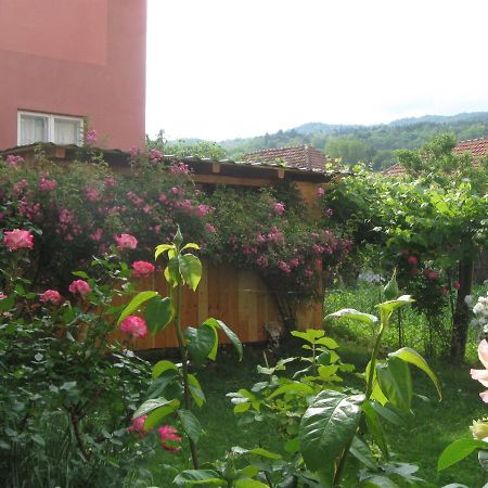 Casa Fabrizio Hotell Călimăneşti Exteriör bild