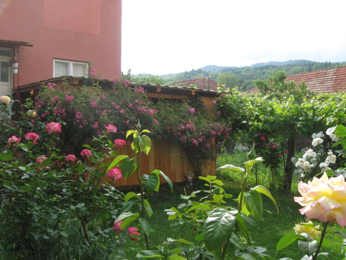 Casa Fabrizio Hotell Călimăneşti Exteriör bild