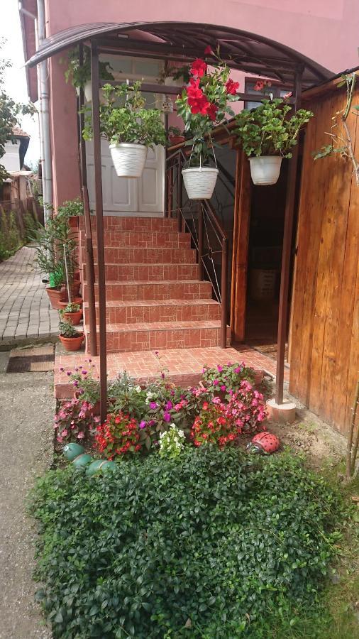 Casa Fabrizio Hotell Călimăneşti Exteriör bild