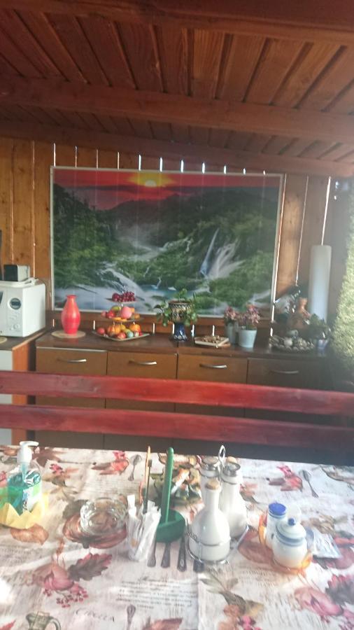 Casa Fabrizio Hotell Călimăneşti Exteriör bild