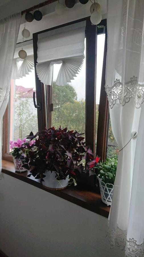 Casa Fabrizio Hotell Călimăneşti Exteriör bild